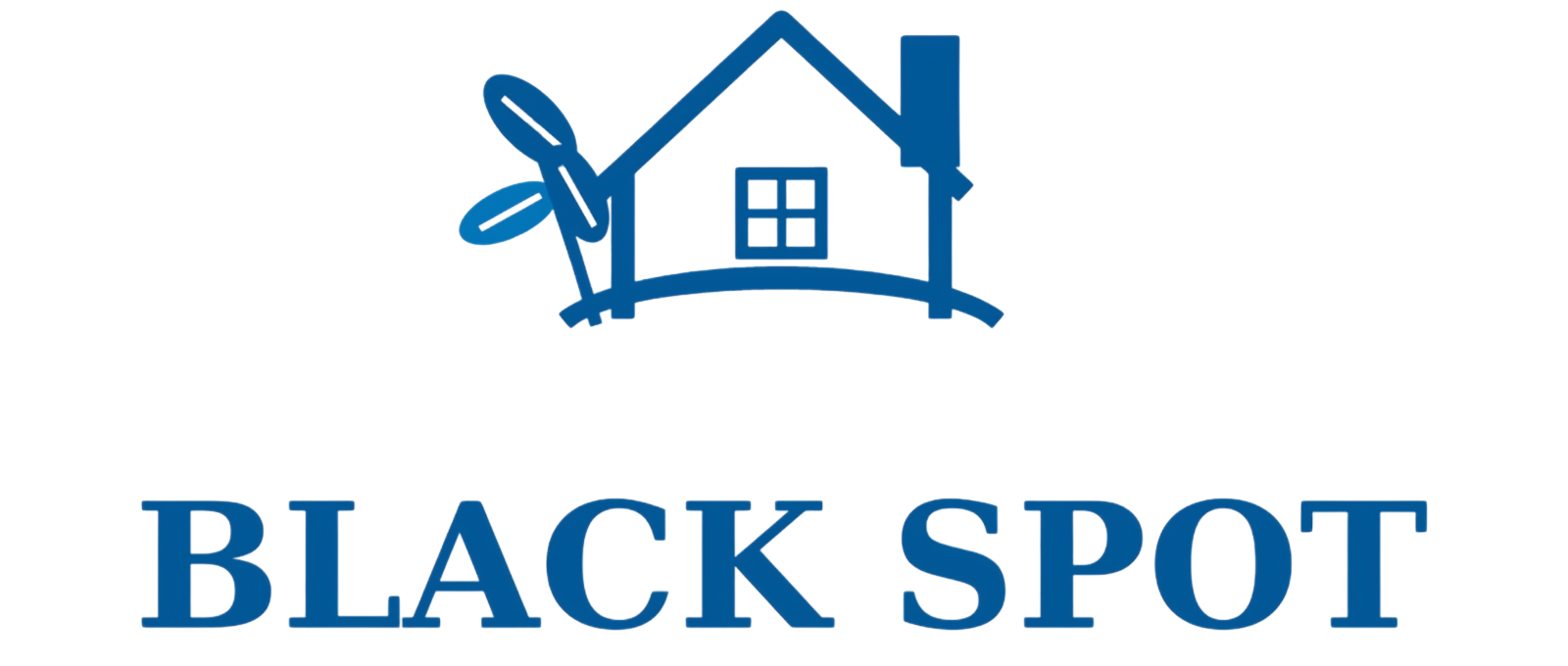 blackspotpropertycares.com